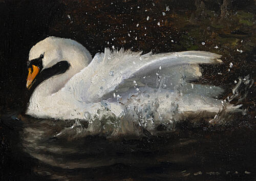 Dancing Swan Art Print by James Zamora