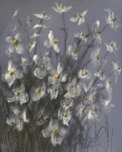 Dreamy White Flowers Art Print by James Zamora