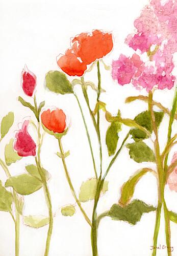 Pink Red Watercolor Blooms Art Print