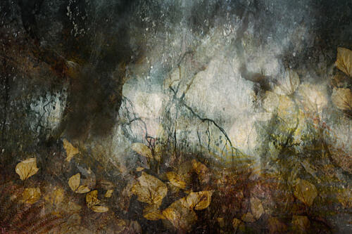 Autumn Art Print by Nel Talen