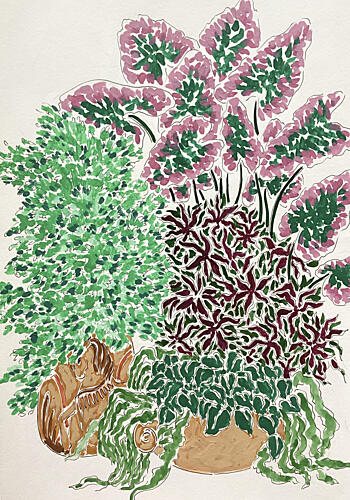 Vibrant Potted Plants Still Life Print