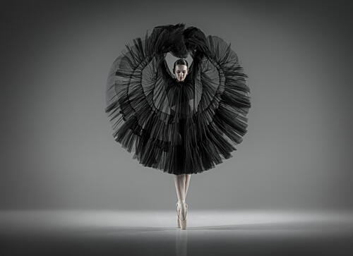 Elegant Dark Ballet Art Print by Georg Scharf