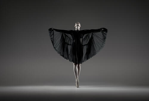 Elegant Ballerina Pose Art Print by Georg Scharf