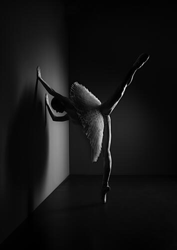 Elegant Ballet Pose Art Print by Georg Scharf