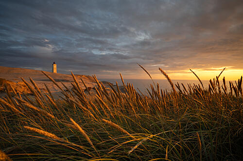 Golden Hour Lighthouse Coast Art Print by Lee Keller