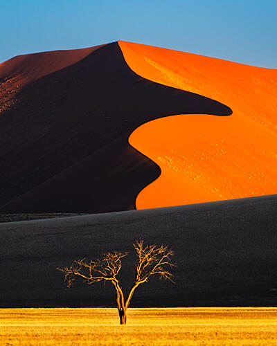 Vibrant Dune Lone Tree Art Print by SiyuWei Apa