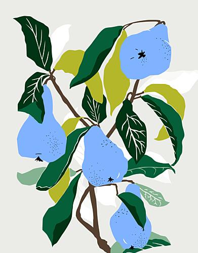 Botanical Blue Pears Art Print
