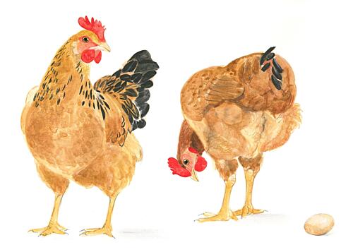 The Egg and Two Hens Art Print