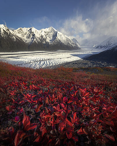Red Leaves Glacier Vista Art Print