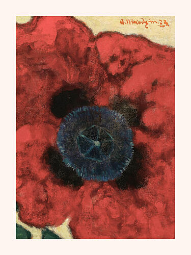 Artur Nikodem Poppy Flower White Boarder Pop art reproduction