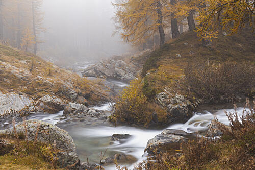 Misty Autumn Stream Art Print