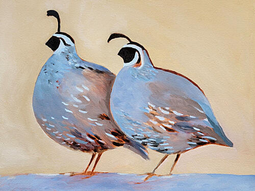 Charming Quail Pair Art Print