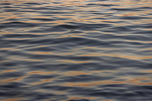 Golden Water Gold Print
