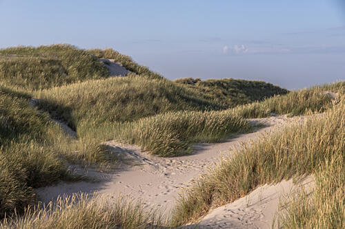 Dune Landscape 1 Art Print