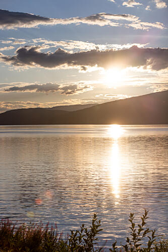 Golden Evening Gold Print