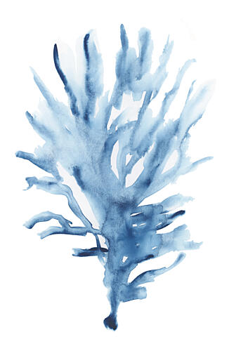 Abstract Blue Coral Art Print