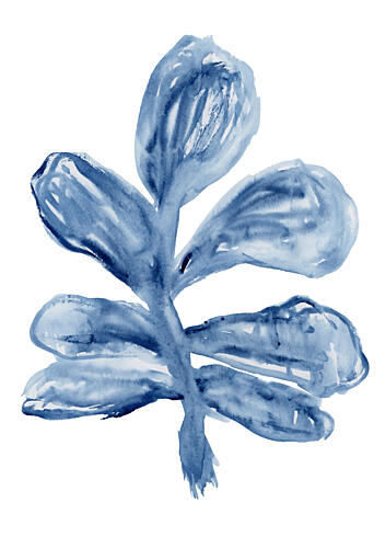 Indigo Watercolor Botanical Art Print