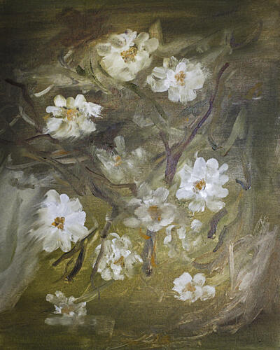 Soft White Blossoms Art Print by Emily Tingey
