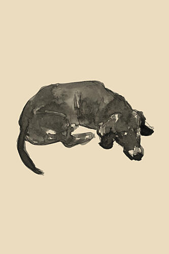 Sleeping Black Dog Art Print by Cartissi