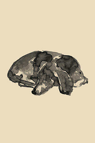 Sweet Sleeping Puppy Art Print by Cartissi