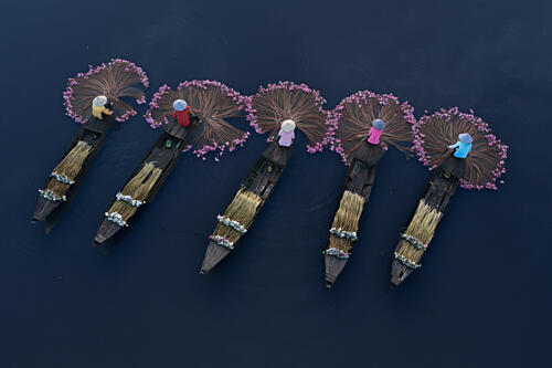 Pink Lotus Flower Boats Art Print