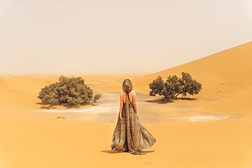 Elegant Journey in Desert Art Print