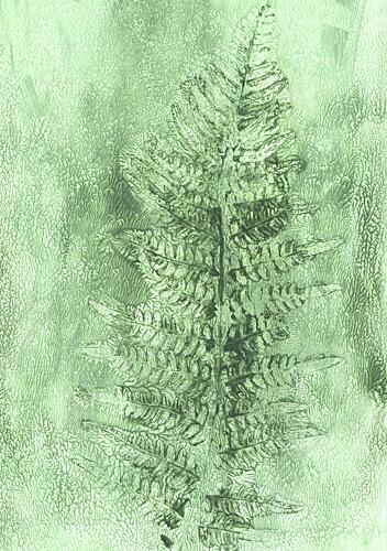 Subtle Fern Frond Art Print