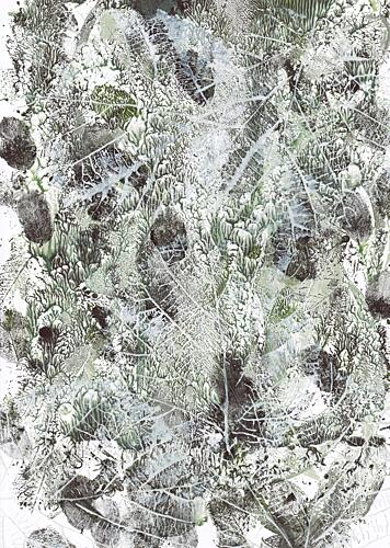 Organic Leaf Imprints Art Print