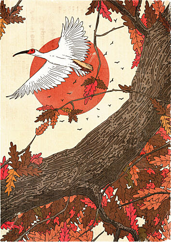 Crimson Sun Autumn Flight Art Print