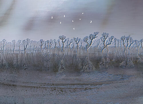 Deep Forest on Mud Beach Art Print by Songlin Xu