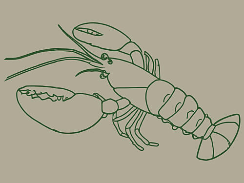 Elegant Lobster Sketch Art Print