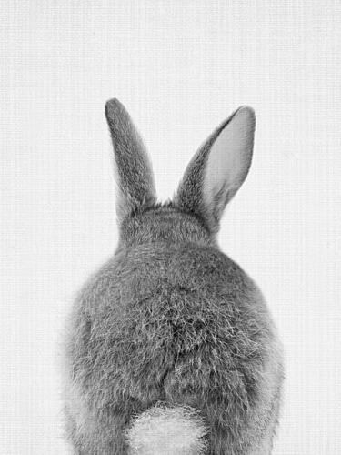 Fluffy Bunny Ears and Tail Art Print by Lila and Lola