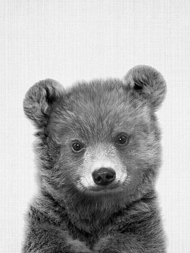 Adorable Baby Bear Art Print