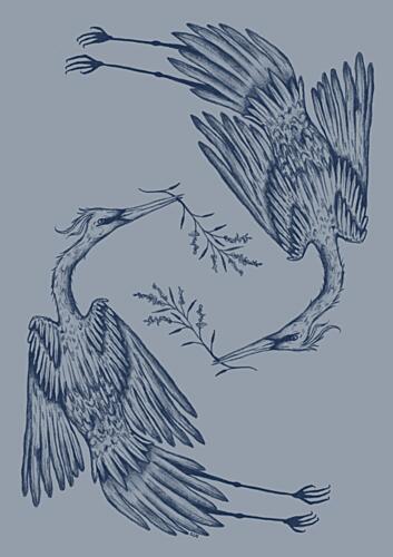 Graceful Blue Herons Art Print
