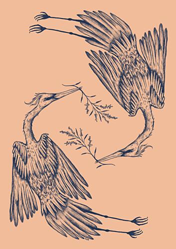 Two Elegant Cranes Art Print