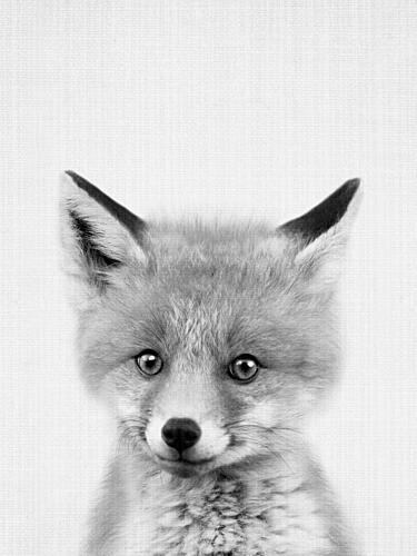 Curious Fox Kit Art Print by Lila and Lola