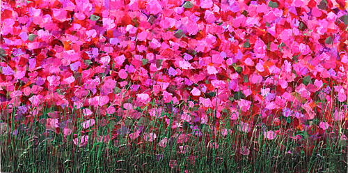 Vibrant Pink Blooms Art Print