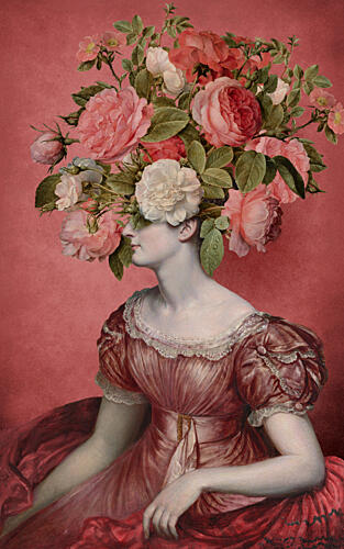 Elegant Rose Portrait Art Print