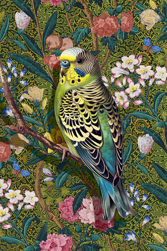 Vibrant Budgerigar Floral Art Print