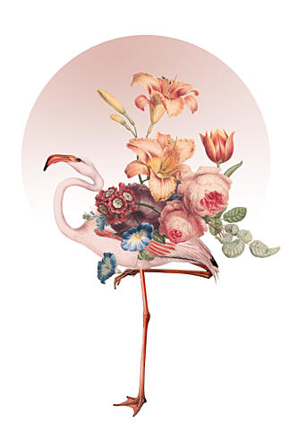 Whimsical Flamingo Bloom Art Print