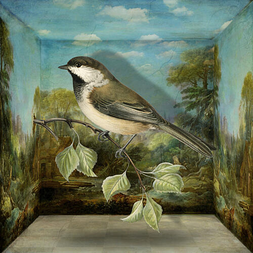 Chickadee in Painted Landscape Art Print