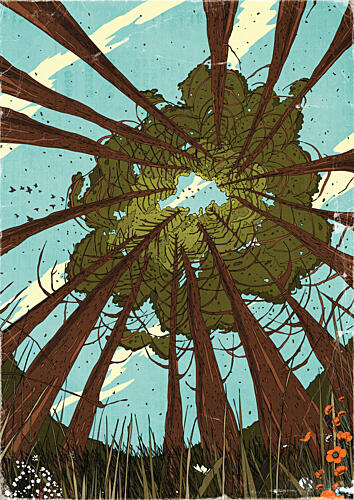 Forest Canopy View Art Print
