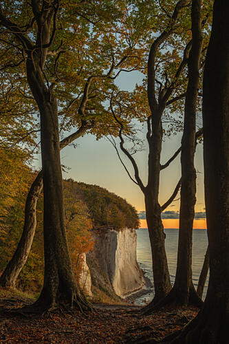 Golden Autumn Cliff View Gold Print