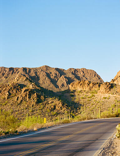 Sunny Desert Mountain Road Gold Print