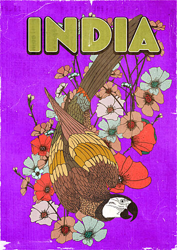 Colorful India Parrot Art Print