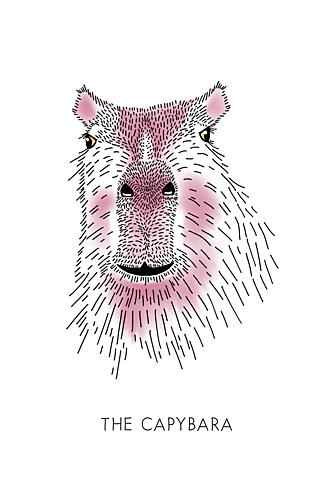 Friendly Capybara Portrait Art Print