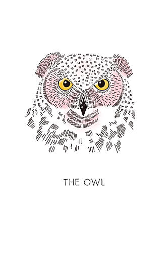 Pink Owl Sketch Art Print