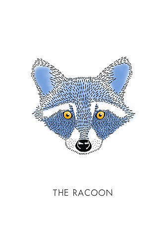 Whimsical Raccoon Face Art Print