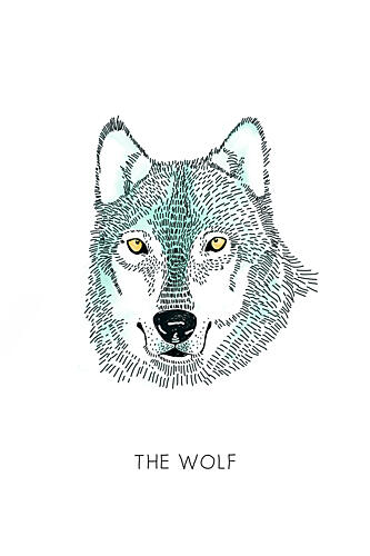 Wild Wolf Portrait Art Print