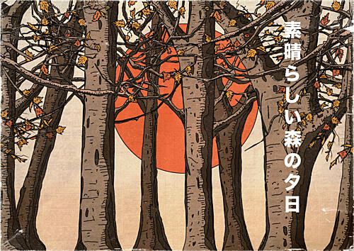 Autumn Forest Sunset Art Print